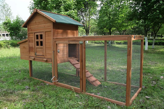Outdoor Wooden Chicken Coop With Waterproof Roof And Ramp