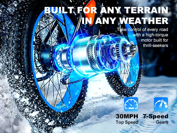 EOEOTWO Fat Tire Electric Bike With Powerful 1000W Motor