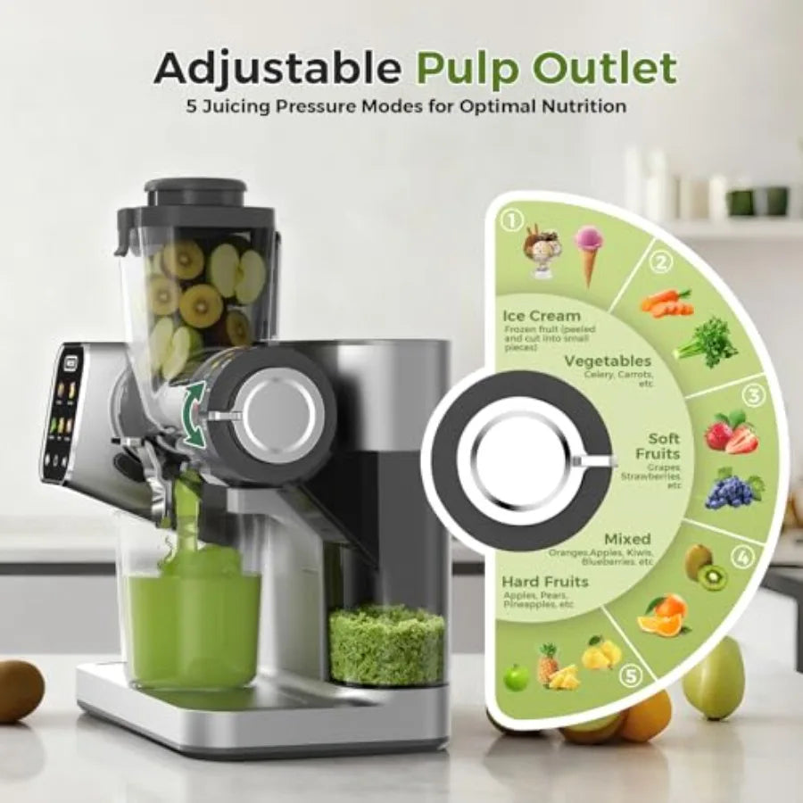 Yao Hui Huang Powerful Cold Press Juicer With Adjustable Pressure