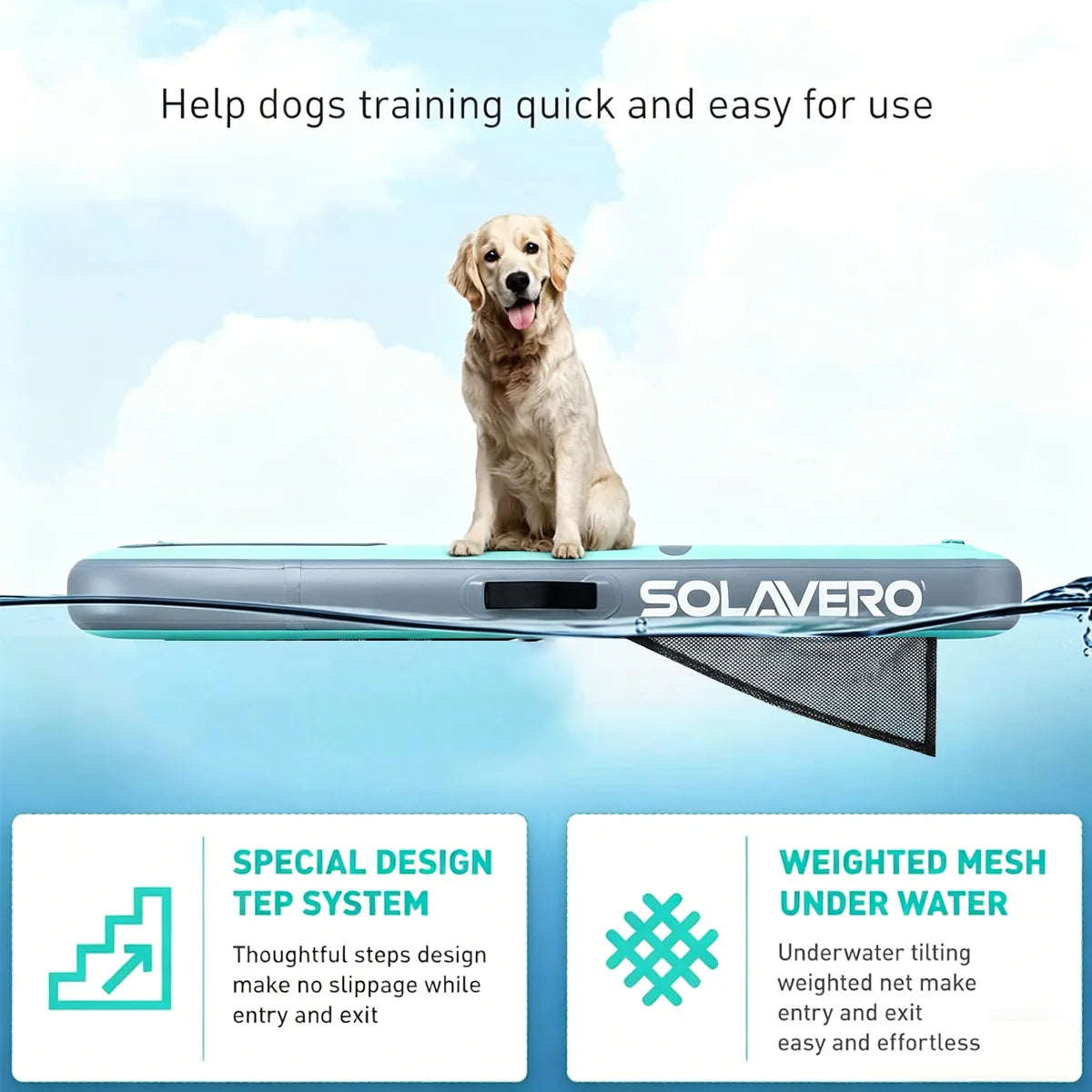 Inflatable Dog Water Ramp With Pump And Carry Bag Set