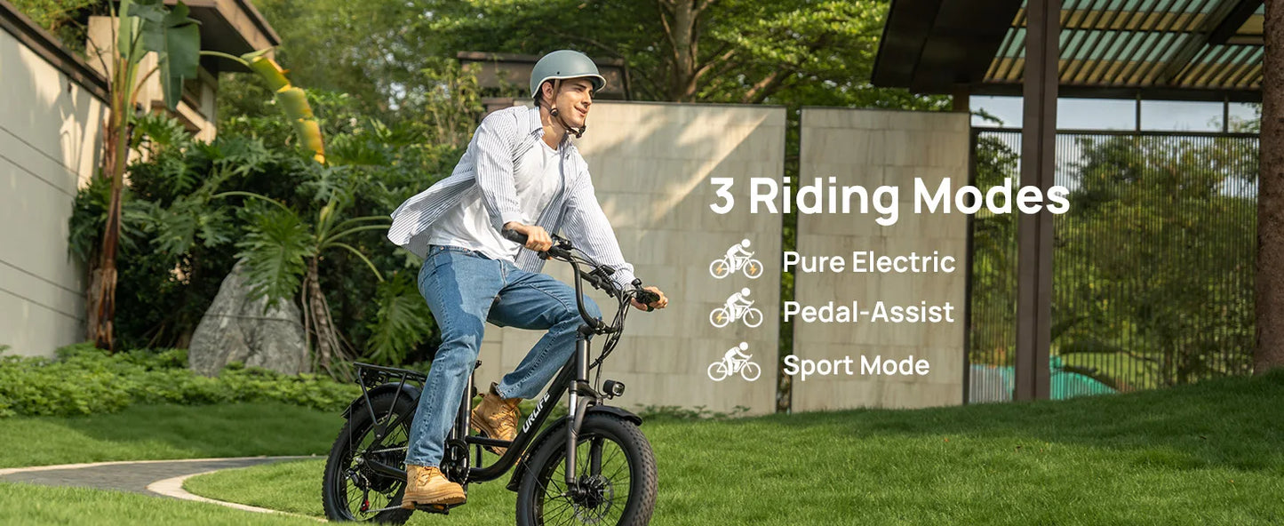 URLIFE E20 1000W Electric Bike With Dual Disc Brakes Removable Battery