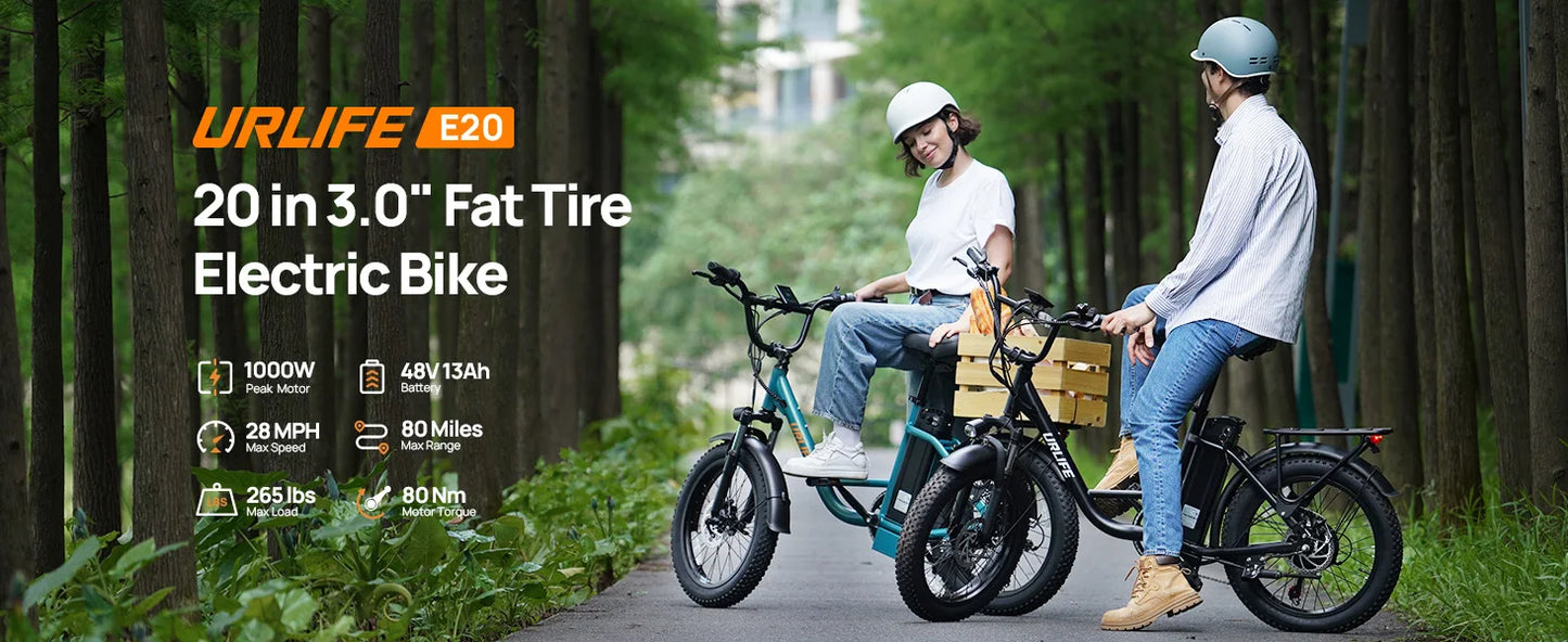URLIFE E20 1000W Electric Bike With Dual Disc Brakes Removable Battery