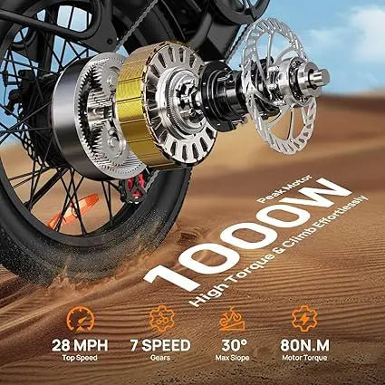 URLIFE E20 1000W Electric Bike With Dual Disc Brakes Removable Battery