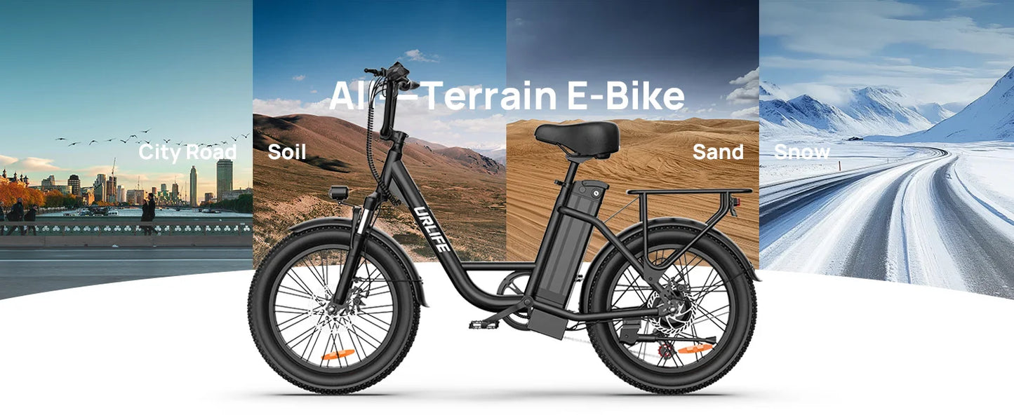 URLIFE E20 1000W Electric Bike With Dual Disc Brakes Removable Battery