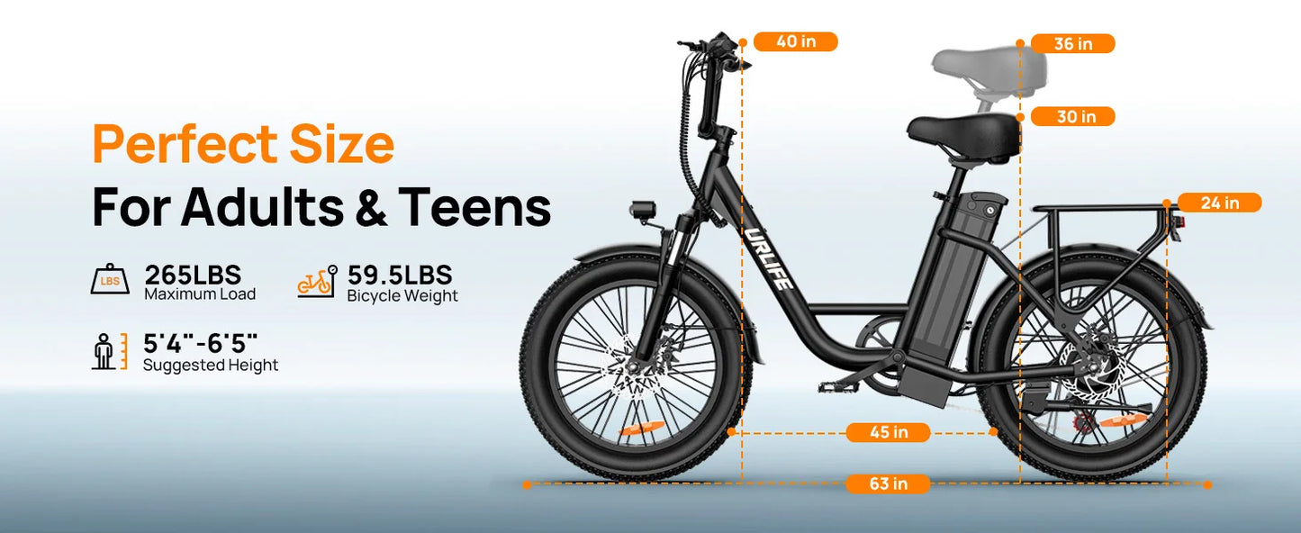 URLIFE E20 1000W Electric Bike With Dual Disc Brakes Removable Battery