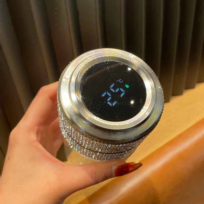 Scaonorch Butterfly Double Wall Glass Bottle With Temperature Display Filter