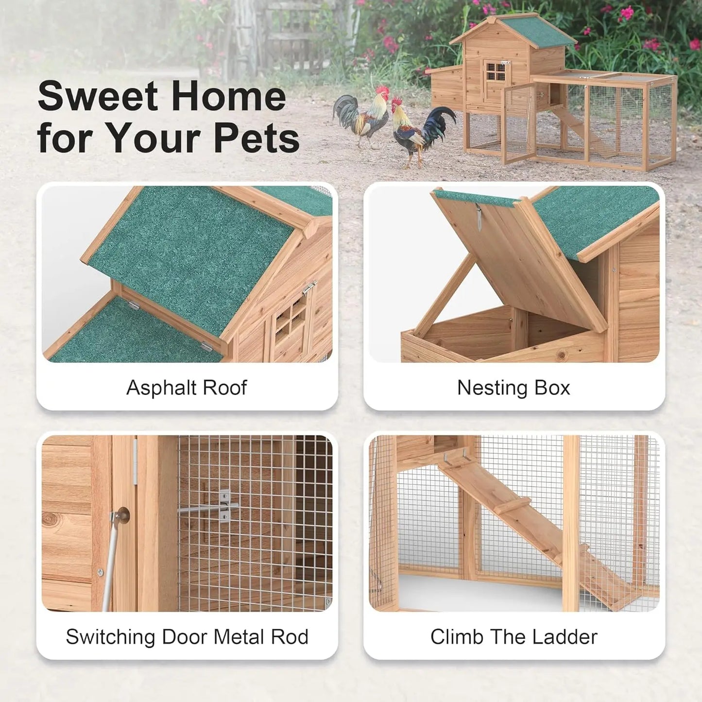 Outdoor Wooden Chicken Coop With Waterproof Roof And Ramp
