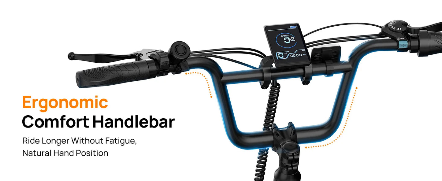 URLIFE E20 1000W Electric Bike With Dual Disc Brakes Removable Battery
