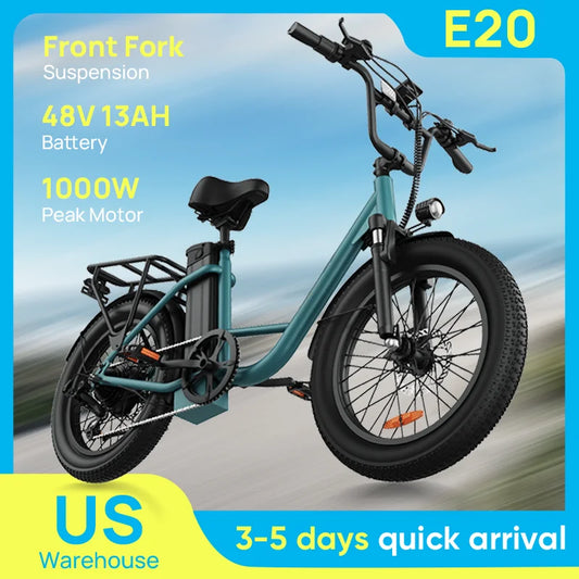 URLIFE E20 1000W Electric Bike With Dual Disc Brakes Removable Battery