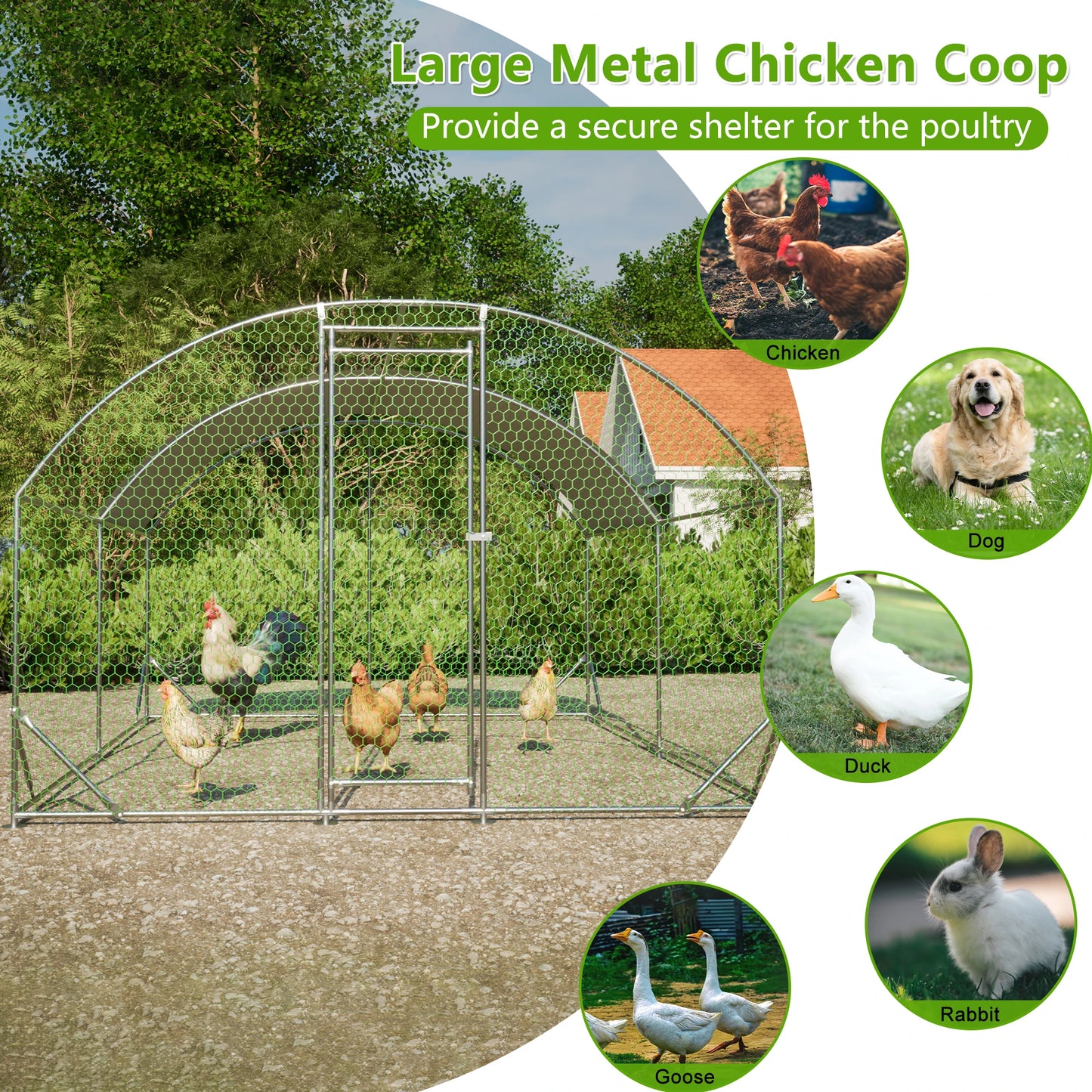 Iron Chicken Coop With Metal Run And Waterproof UV Cover